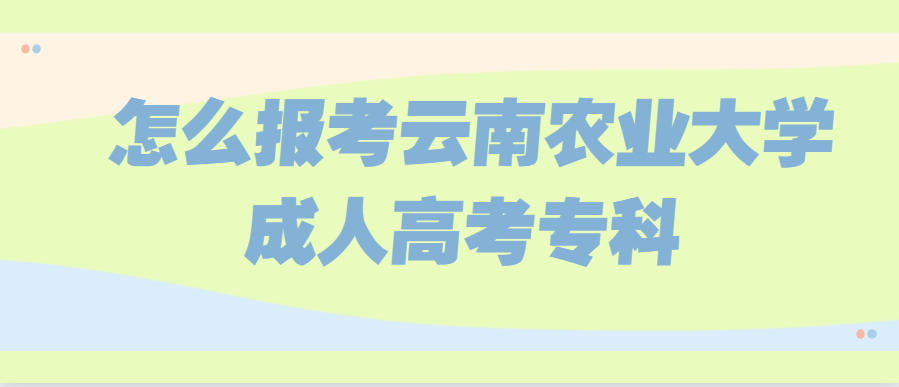 怎么報考云南農業大學成人高考專科