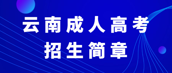 2021年云南新興職業學院成人高考招生簡章