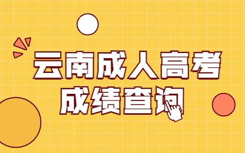 云南成人高考成績查詢時間