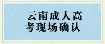 云南成人高考現場確認地點