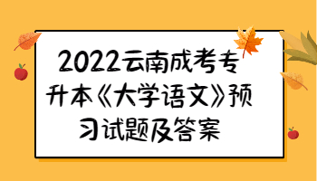 云南成考專升本