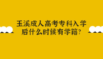 玉溪成人高考專科