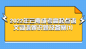 云南成考高起點語文詞語辨識題