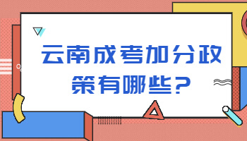 成考加分政策有哪些