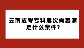 云南成考專科