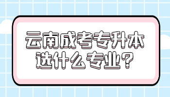 云南成考專升本選什么專業(yè)