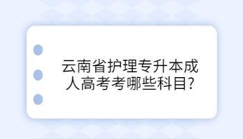 云南省護理專升本成人高考