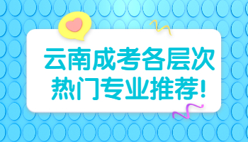 云南成考各層次熱門專業推薦