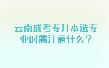 云南成考專升本選專業