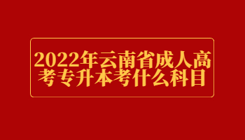 云南省成人高考專升本