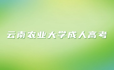 2024年云南農業大學成人高考報名時間？