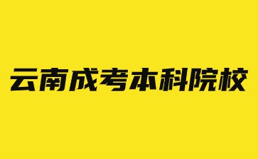 2024年云南省成考有哪些本科院校可以選擇？