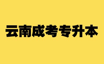 云南成人高考專升本考試科目及要求？