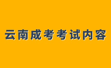 2024年云南成人高考如何巧記考試內容？