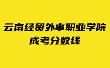 2024年云南經貿外事職業(yè)學院成考錄取分數線？