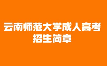 2024年云南師范大學成人高考招生簡章